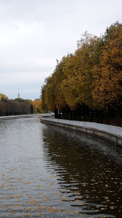 有关公园, 垂直视频, 景观的免费素材视频