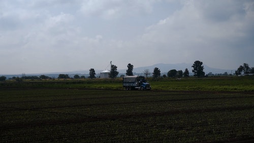 有关卡车,户外,树的免费素材视频