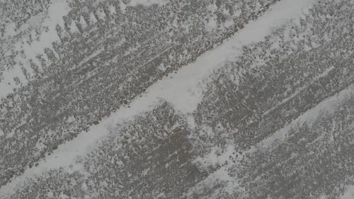 有关冬季, 冻结的, 天性的免费素材视频