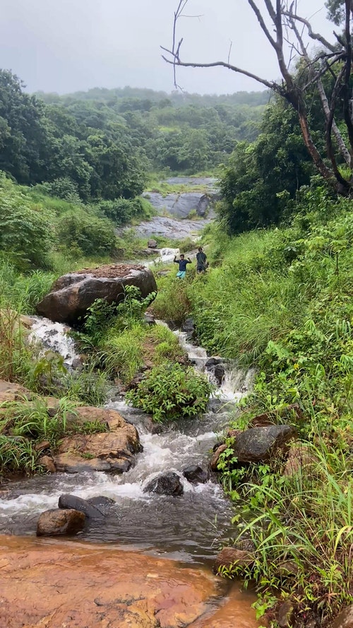 有关下雨,人,垂直视频的免费素材视频
