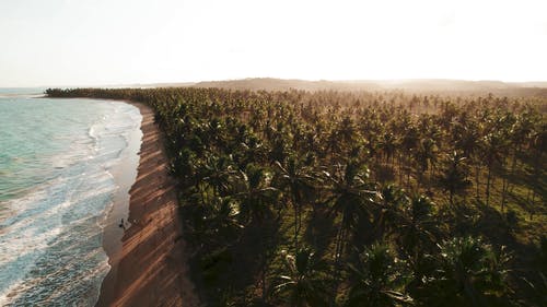有关天性, 户外, 景观的免费素材视频