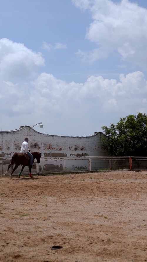有关人,农村的场景,动物的免费素材视频