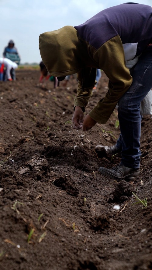 有关人,匿名,土的免费素材视频