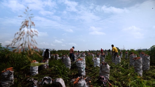 有关人,农村的场景,工作的的免费素材视频