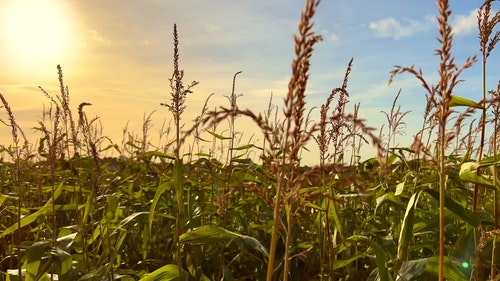 有关农村的场景,喜怒无常的天空,工厂的免费素材视频