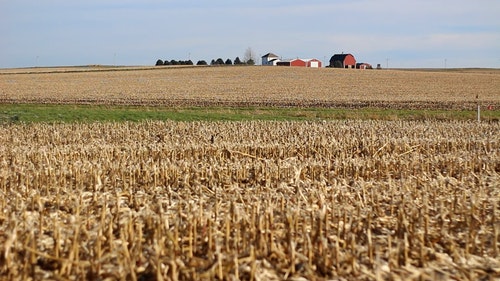 有关农村的场景,景观,田的免费素材视频