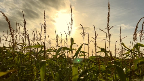 有关农村的场景,喜怒无常的天空,工厂的免费素材视频