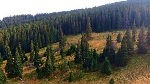 有关天性,山,山峰的免费素材视频
