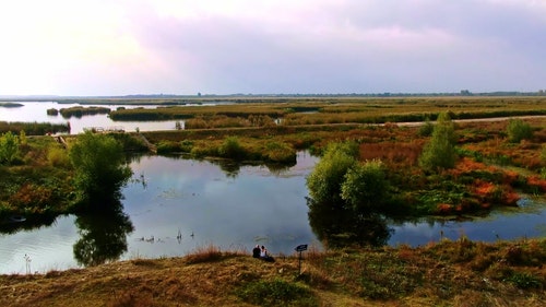 有关天性,性质,景观的免费素材视频