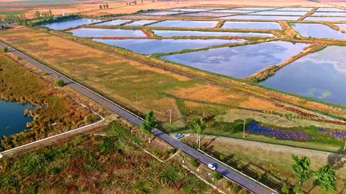 有关交通,交通系统,汽车的免费素材视频