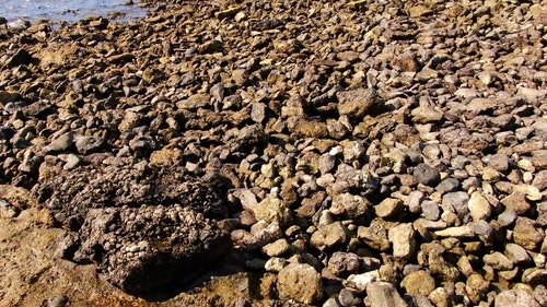 有关岩石,岩石的,招手的免费素材视频