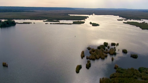 有关天性,性质,景观的免费素材视频