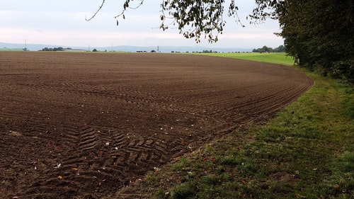 有关动物,家畜,树的免费素材视频