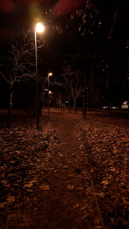 有关公园,垂直拍摄,城市的免费素材视频