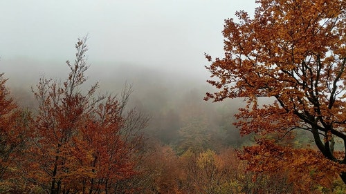 有关天性,性质,景观的免费素材视频