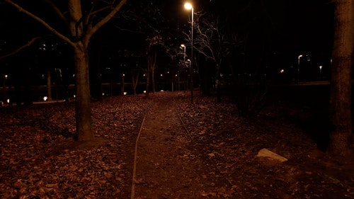 有关公园,城市,晚上的免费素材视频