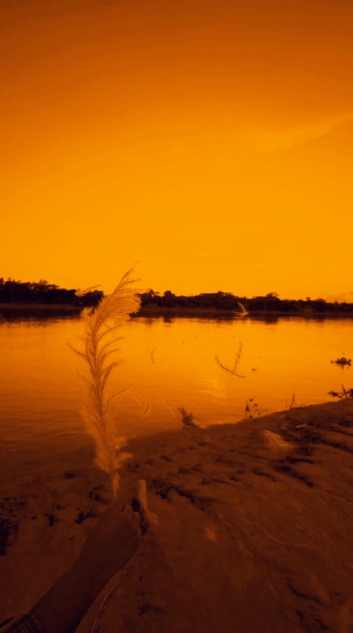 有关垂直拍摄,工厂,厂的免费素材视频
