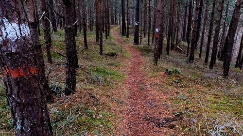 有关天性,性质,景观的免费素材视频