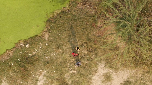 有关人,树,湖的免费素材视频