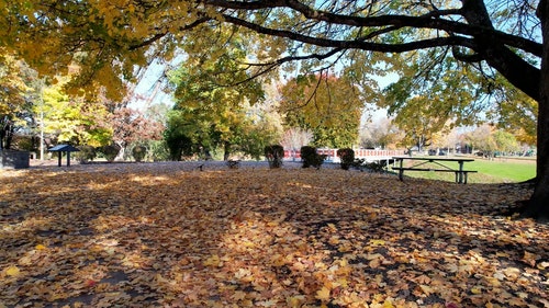 有关公园,景观,树的免费素材视频