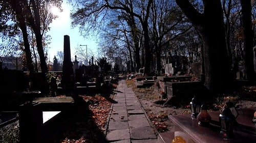 有关墓园,墓石,墓碑的免费素材视频