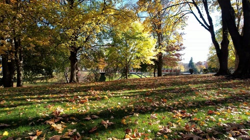 有关公园,景观,树的免费素材视频