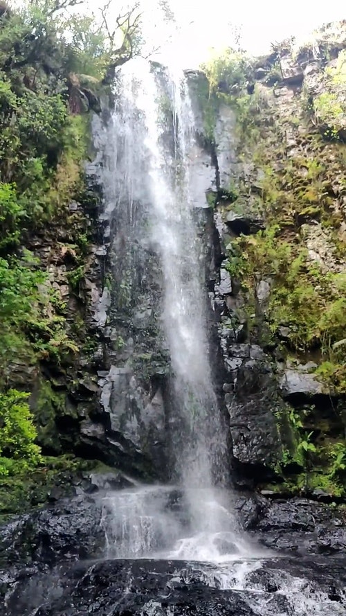 有关垂直视频,天性,小河的免费素材视频