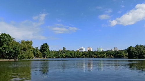 有关公园,景观,树的免费素材视频