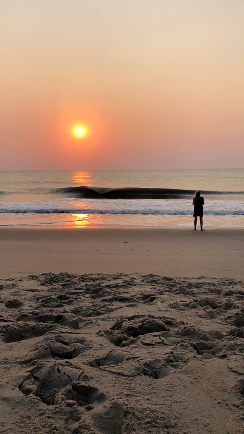 有关垂直拍摄,天性,太阳的免费素材视频