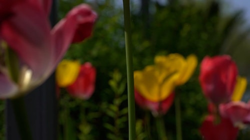 有关天性,工厂,干的免费素材视频