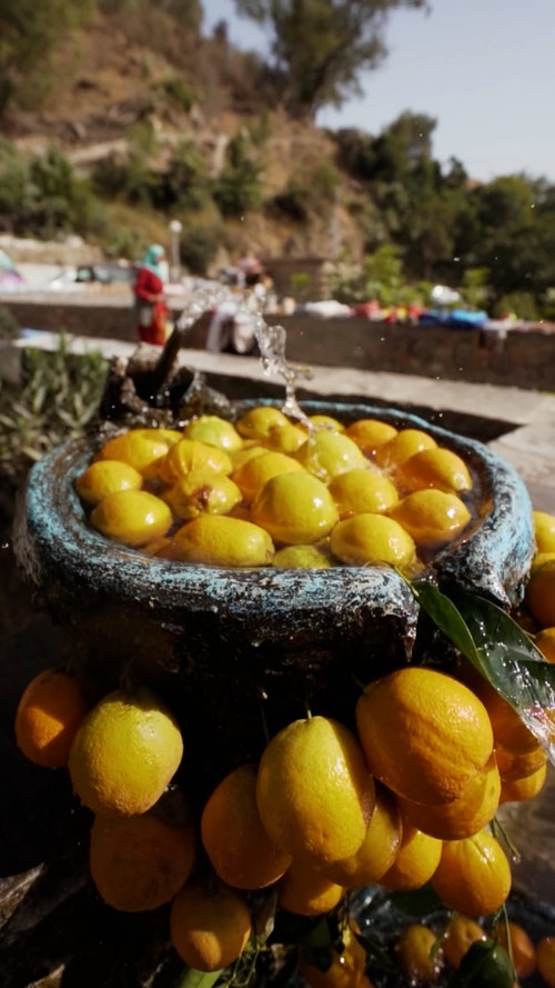 有关下沉,垂直拍摄,新鲜的免费素材视频