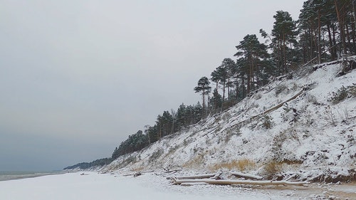 有关冬季,天性,季节的免费素材视频