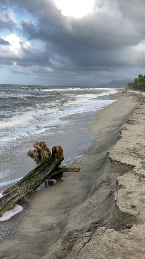 有关垂直拍摄,招手,挥手的免费素材视频