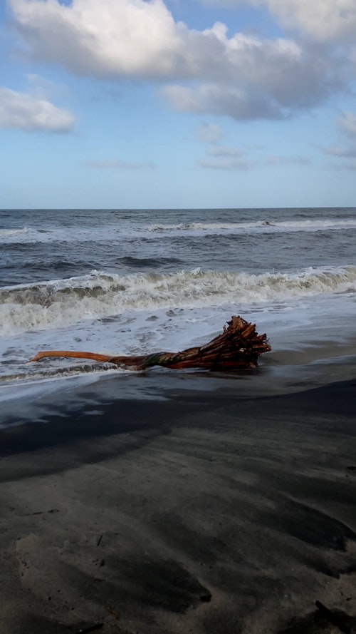 有关垂直拍摄,招手,挥手的免费素材视频