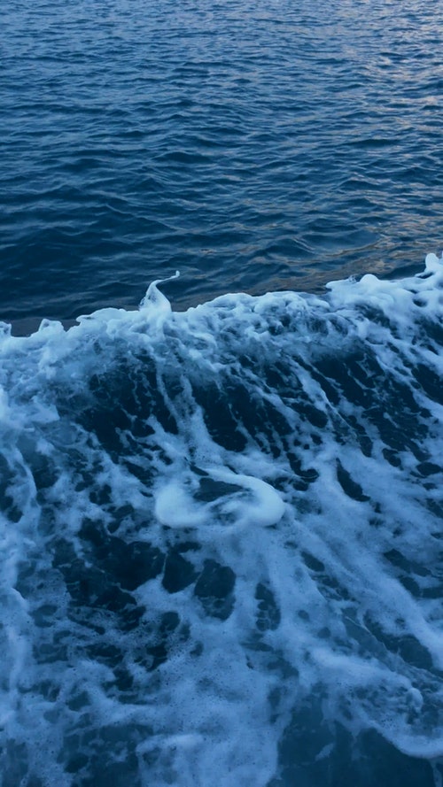 有关垂直拍摄,招手,挥手的免费素材视频