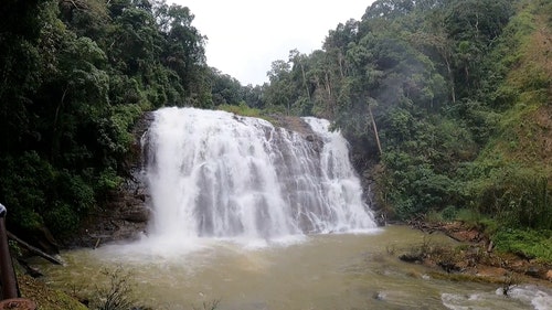 有关天性,小河,性质的免费素材视频