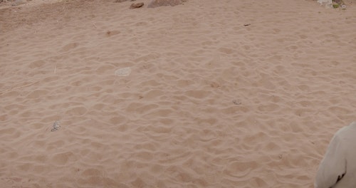 有关人,大衣,时尚的免费素材视频