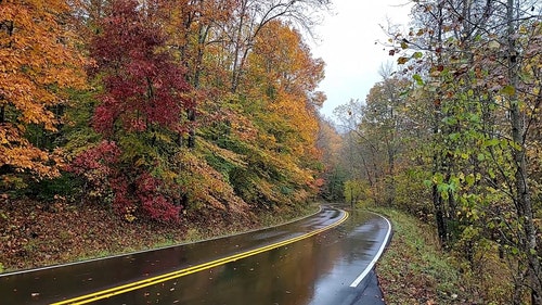 有关季节,景观,树木的免费素材视频