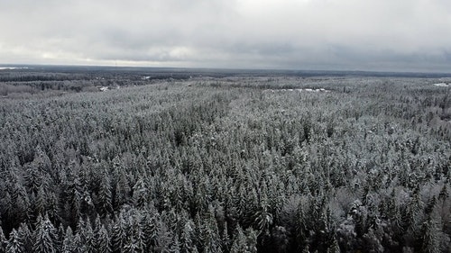 有关下雪的,似雪,冬季的免费素材视频