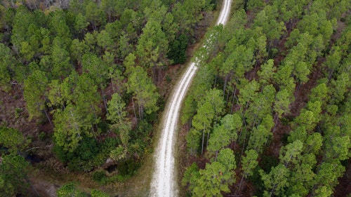 有关天性,小径,性质的免费素材视频