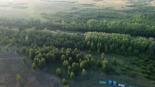 有关公共交通,森林,树木的免费素材视频