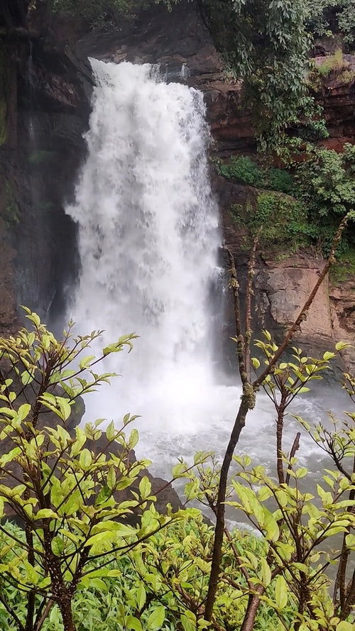 有关垂直拍摄,天性,性质的免费素材视频