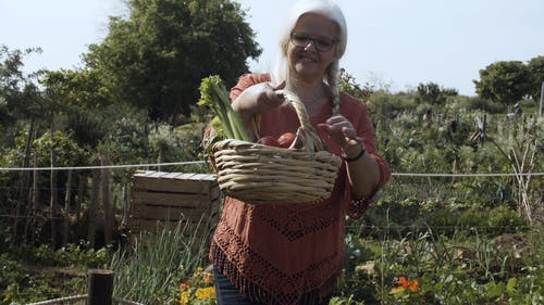 有关人, 健康, 女人的免费素材视频