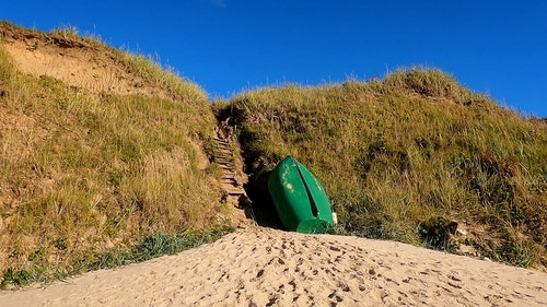 有关下降,家畜,宠物的免费素材视频