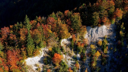 有关天性,季节,性质的免费素材视频