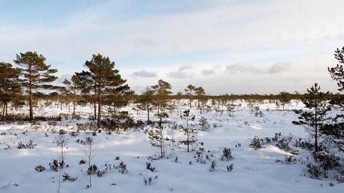 有关冬季,天性,季节的免费素材视频