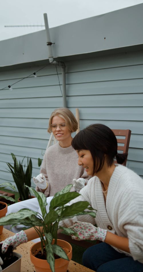 有关一群朋友,修剪花草,园艺的免费素材视频