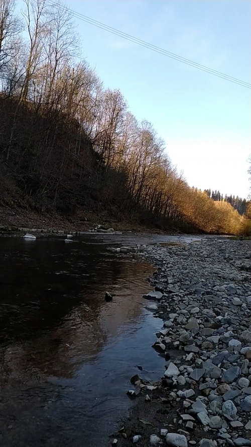 有关垂直拍摄,天性,性质的免费素材视频