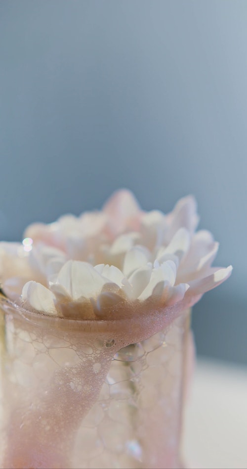 有关垂直视频,实验,实验室的免费素材视频