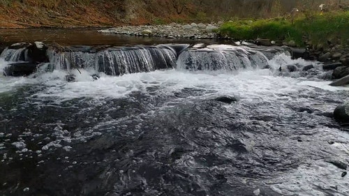 有关天性,小,性质的免费素材视频